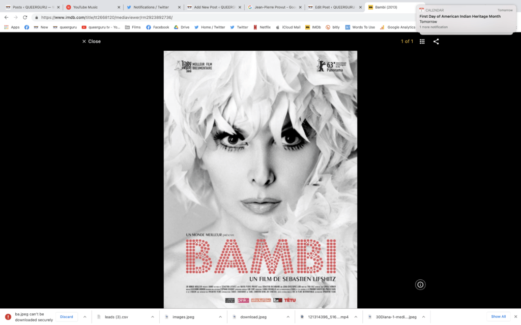 Bambi : the fascinating journey of how Jean-Pierre Provout evolved into a Cabaret Star