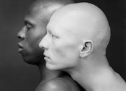 Mapplethorpe : Look at the Pictures