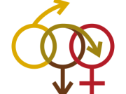 Transgenders Get To Cruise Too