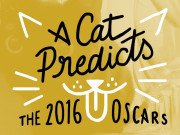 A Cat’s Near Purr-fect Oscar Predictions