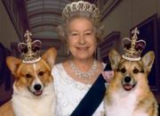 Happy Birthday to a Real Queen