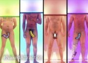 Naked Attraction : Blind Date With Knobs On