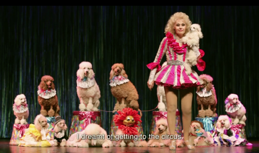 The Poodle Trainer