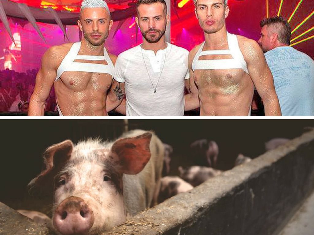 The Tale of Two (Gay) Cities