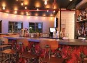 How To Become a (Democratic) Party Animal