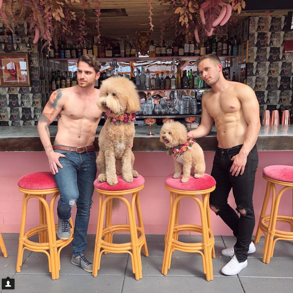 Hot Dudes with Dogs are planning for 2020 already