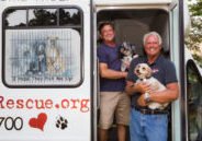 Two gay men and 11500 dogs  …..