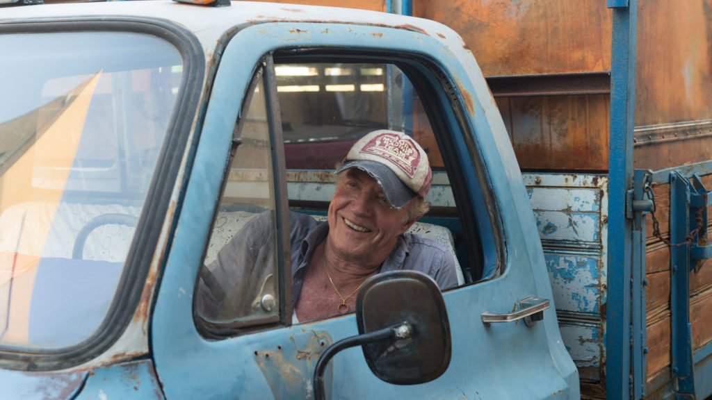 HOLY LANDS : When Harry Met Piggy