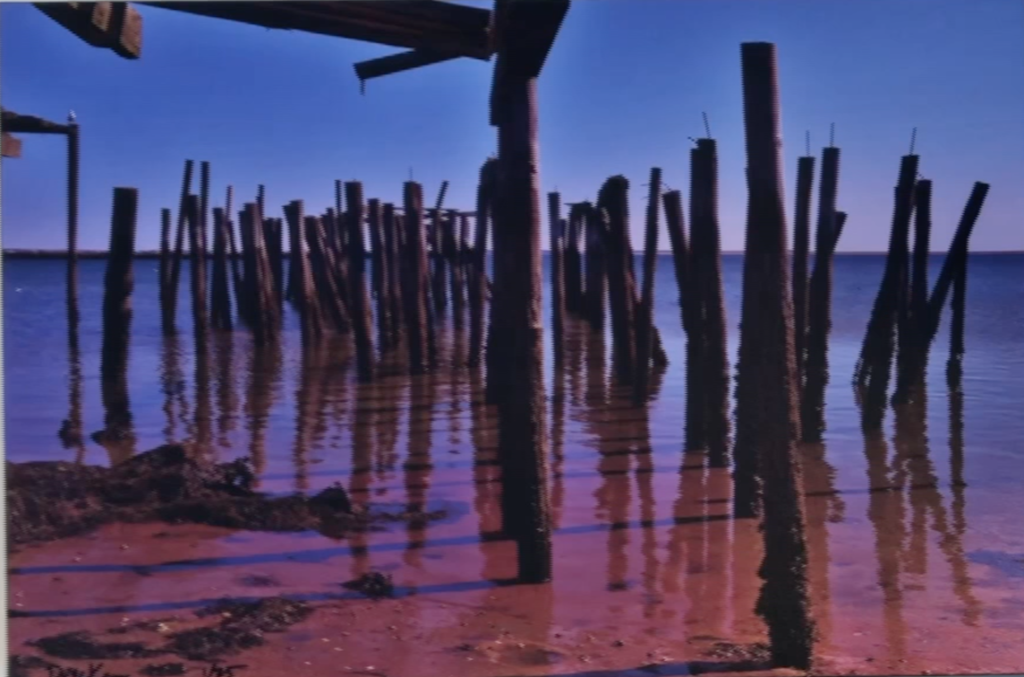 Dan McKeon : PTown’s Photographer