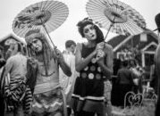 SAFE/HAVEN: Gay Life in the 1950’s Cherry Grove
