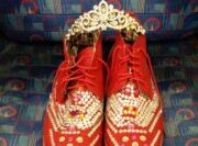 Passion on the Night Tube: The Story of a Fabulous Homeless Man on the Jubilee Line