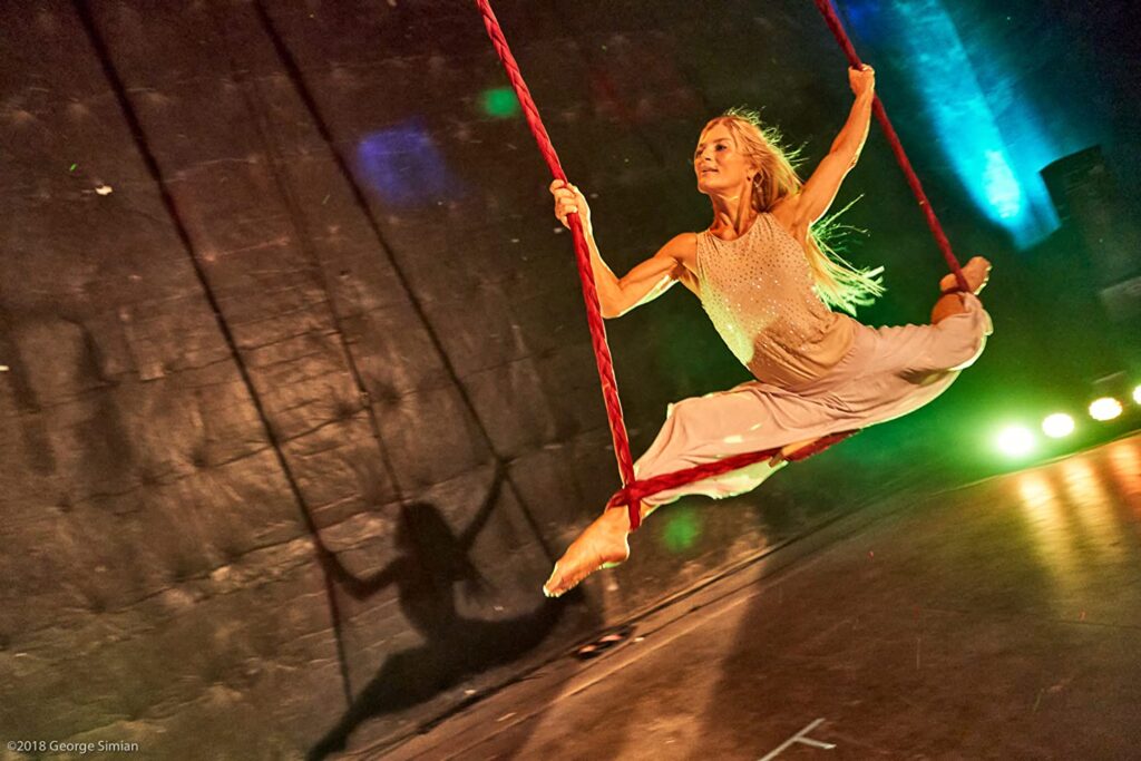 The Aerialist : wants one more chance to perform before its too late