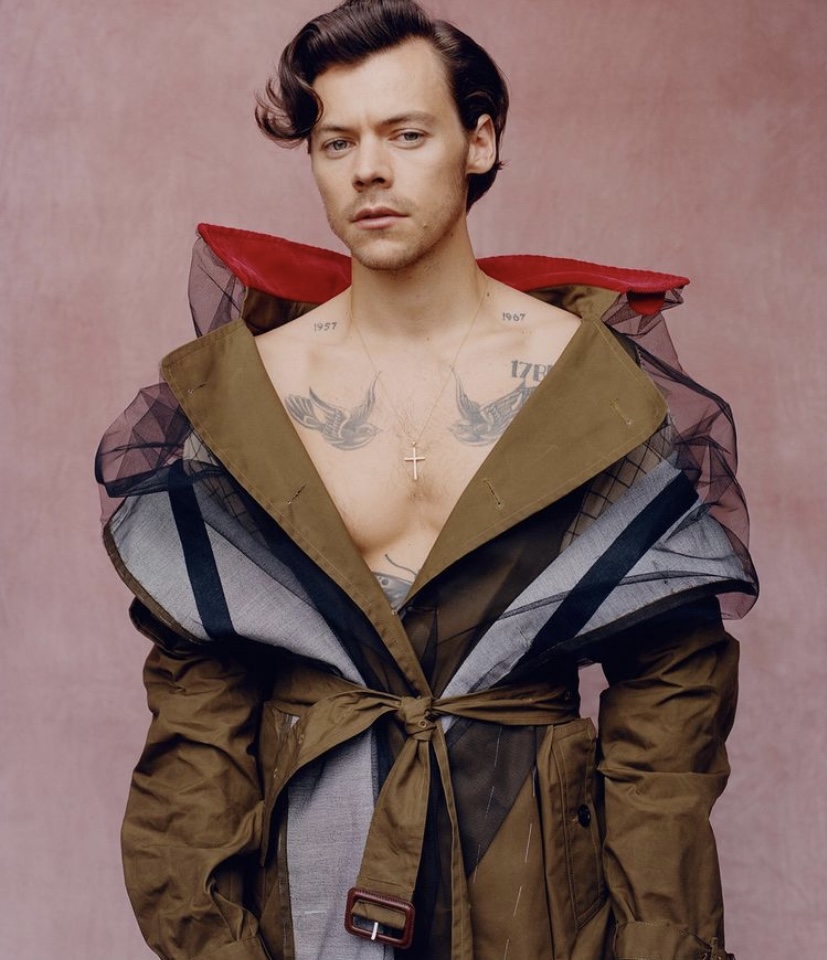 827px x 960px - Harry Styles - What's the buzz? - QUEERGURU