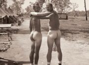 World War 2 Laid Bare