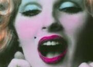 Beautiful Darling : the life of Warhol superstar Candy Darling