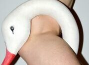 New Queer Photography : Focus on The Margins