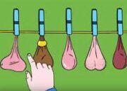 Have you got the Balls to watch this?