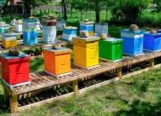 Queens County Farm are holding their first PRIDE ON THE FARM EVENT