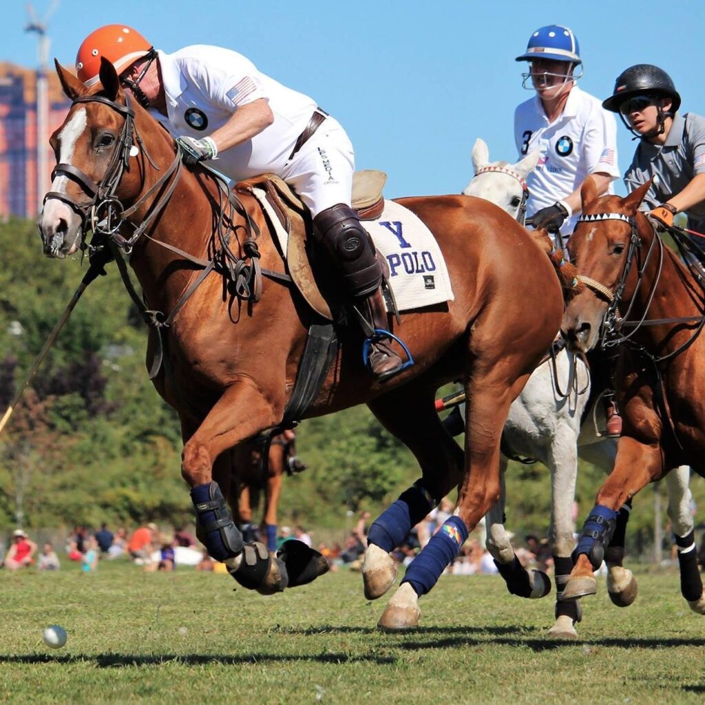 Gay Polo ?  Who knew…….