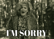 So Sorry ……..BUT we are BACK FOR GOOD