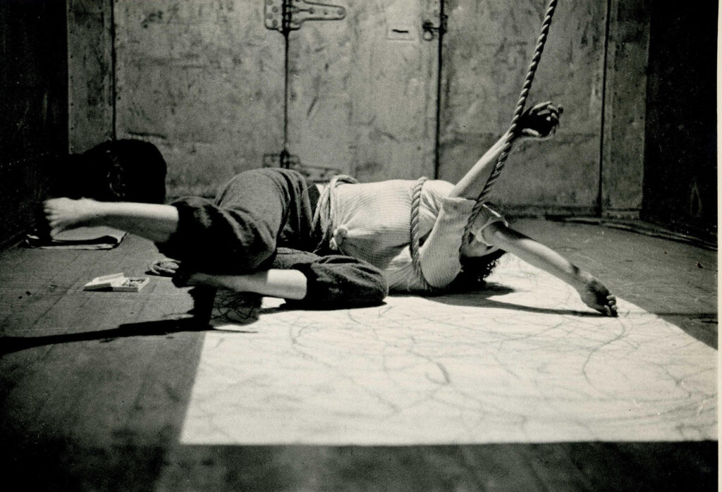 Carolee Schneemann  BODY POLITICS  diverse, transgressive and interdisciplinary  @ Barbican Gallery, London