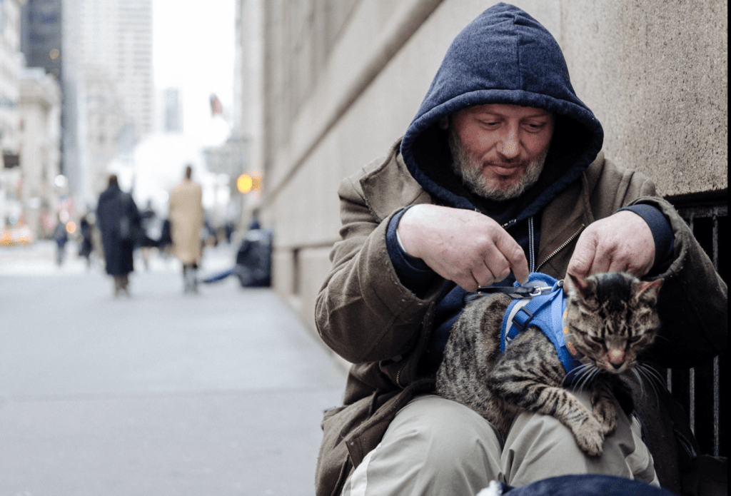 Queerguru reviews  CAT DADDIES  the delightful tale of men whose lives have been changed by their cat
