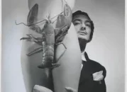 Richard Gilles Queerguru’s Paris Contributing Editor reviews SHOCKING  ! THE SURREAL WORLDS OF ELSA SCHIAPARELLI