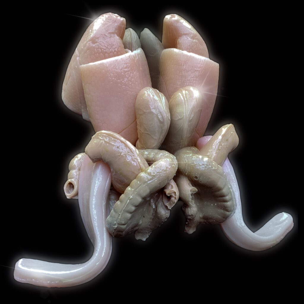 VSSL Studio, a queer-focused space based in Deptford, presents HERMAPHROGENESIS a large-scale multimedia installation by interdisciplinary artist Marcin Gawin.