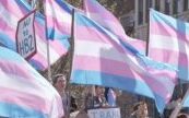 Support the  LONDON TRANS PRIDE March on July 27th