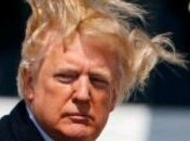 HE IS NOT MY PRESIDENT