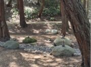 The National AIDS Memorial Grove in SF’s Golden Gate Park : a beautiful space for healing, hope and rememberance