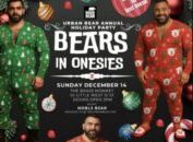 BEARS just wanna have FUN……. (more than ever at Christmas…)