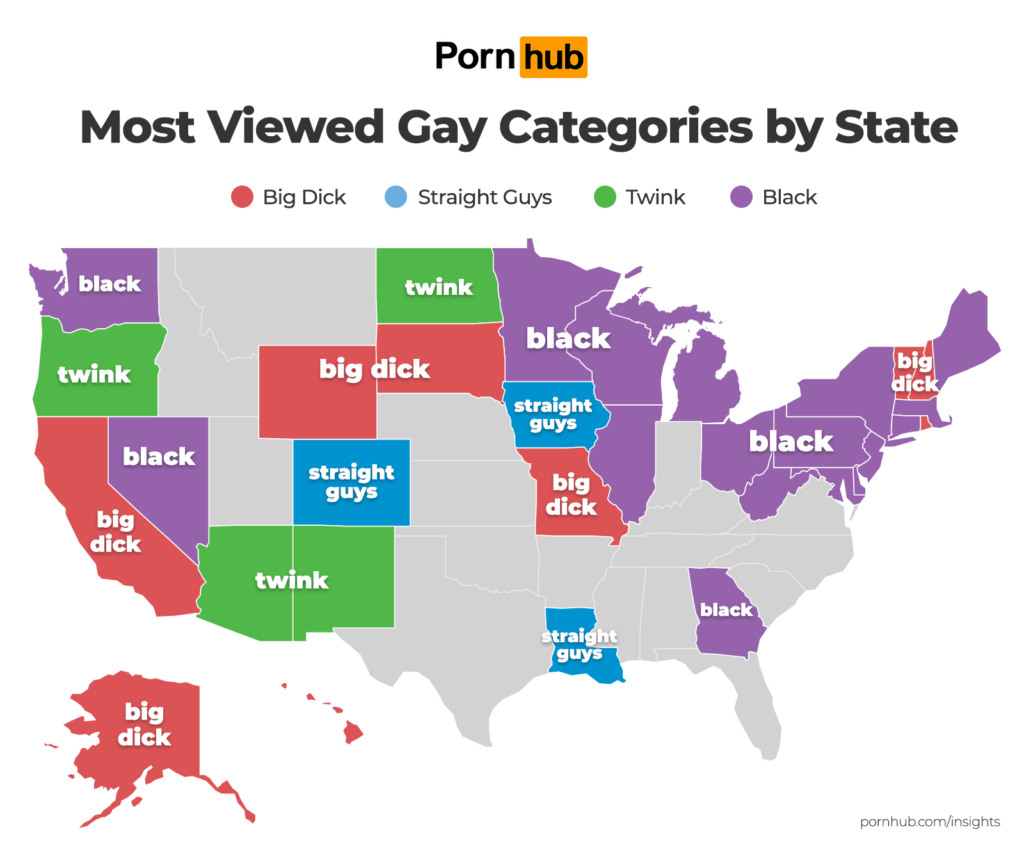 What each US State  prefers when it comes to GAY PORN.