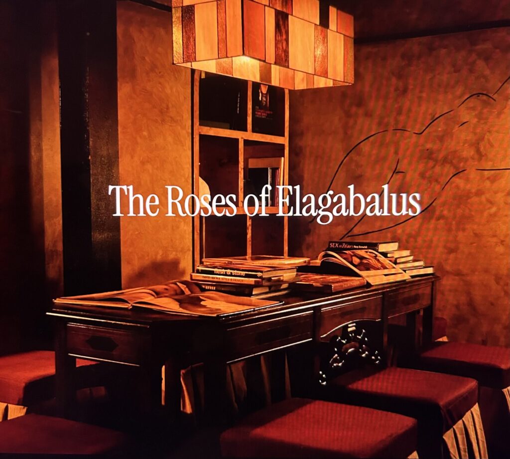 Queerguru´s Resident Party Boi Ris Fatah visits THE ROSES OF ELAGABALUS a gorgeous queer club house in Dalston, East London.