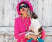 ADVANCED PETS :Ari Seth Cohen captures the sartorial savvy of the senior set and their four-legged best friends