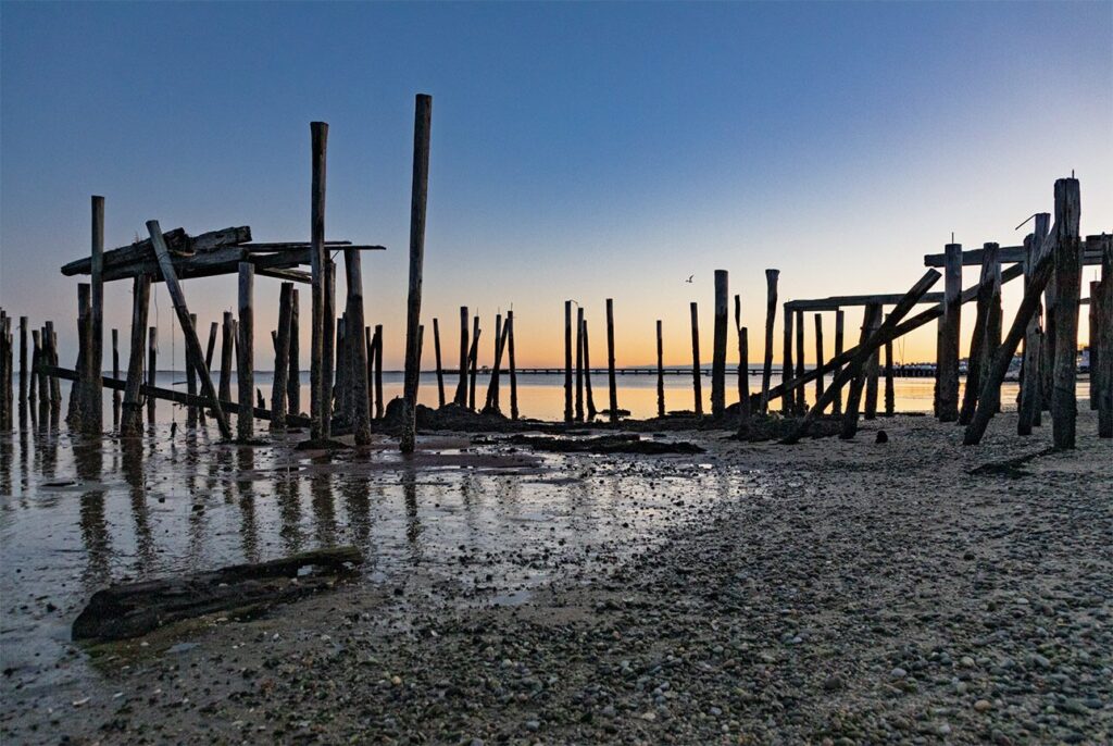 Deb Perry : Whispers of the Wharf At the edge of land and sea : new work @ The Commons, Provincetown